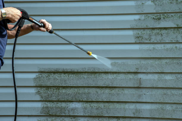 Best Sidewalk and Walkway Cleaning  in Soldotna, AK